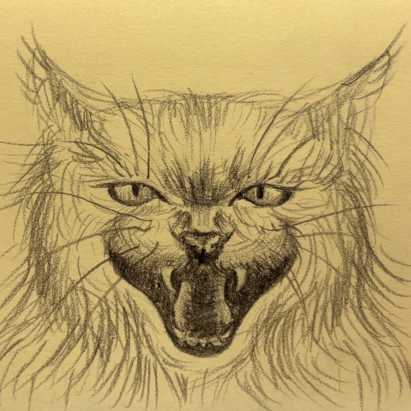 Drawing by @_huaz
