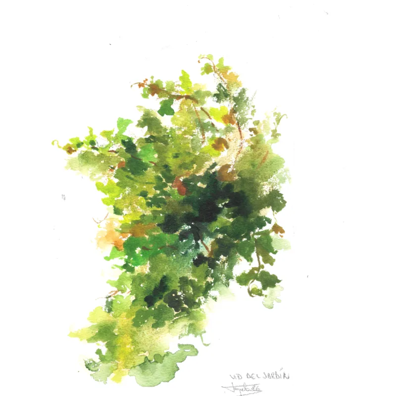 watercolor - a vine