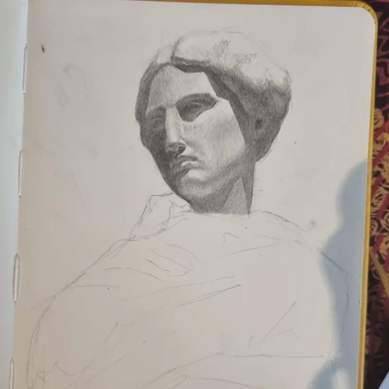 - Museum Study -
